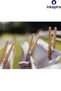 Large Wooden Pegs 36 Pieces Natural Clothes Pegs 7 cm Laundry Pegs Colorless Durable Wooden Pegs Bamboo - 3