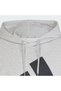 Big Logo French Terry Hoodie Men - 4
