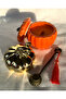 Pumpkin Mum / Set3 - 2