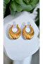 Premium Stainless Steel Gold Oyster Earrings - 2