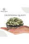 Senna Leaves – Sana Makki / Indian Senna | Senna alexandrina - 100 g (3.5 Oz) - 5