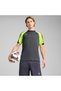 Individualliga Men's Gray T-Shirt