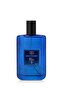 عطر بلو إي دي بي 100 مل عطري، عطر فوجير الرجالي 8682367054623 - 4