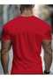 Cotton Men's Tshirt - 2