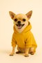 Hooded Dog Sweat – Small Breed Clothing Yellow