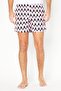 Men Geometric Drawstring Board Shorts, Multicolor