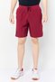 Men Sportswear Fit Graphic Print Outdoor Shorts, Burgundy