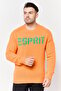 Men Ribbed Neck Knitted Sweater, Orange