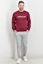 Men Crew Neck Embroidered Logo Long Sleeve Sweatshirts, Maroon - 4
