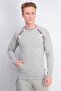 Men Regular Fit Brand Print Sweater, Grey