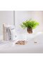 Food Risers for Buffet Table, 3PCS Clear Acrylic Cube Display Nesting Risers with Hollow Bottoms - 4