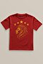 Lion Yellow Red Champion Five Star Printed T-Shirt Unisex Red T-Shirt 5 Stars