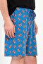Men's Cobalt Blue Shorts 100% Cotton C2T1N1O804 - 2