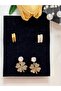 Zircon Stone Gold Steel Clover & Hook Earring Set - 2