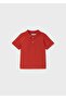 Baby Boy Basic Polo Neck T-Shirt