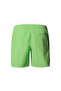 Men's Water Shorts - Eu Nf0A5Ig56Ii1 Green-Regxxl - 2