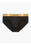 HIP BRIEF - 2