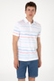 Men's Regular Fit Polo Neck White Striped T-Shirt 50299642-Vr013 - 3