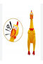 Big Size Sound Making Chicken Cat Dog Toy 30 cm - 2