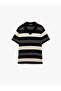 Striped Short Sleeve Regular Fit Polo Neck Knitwear T-Shirt - 3