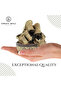 Dandasa Datun | Walnut Tree Peel - Pack of 3 Strip - 5