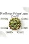 Lemon Verbena Leaves – Louisa / Cedrón | Aloysia citrodora - 100 g (3.5 Oz) - 3