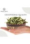 Lemon Verbena Leaves – Louisa / Cedrón | Aloysia citrodora - 100 g (3.5 Oz) - 5