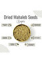 Mahaleb Seeds (Mahlab) – Prunus mahaleb - 100 g (3.5 Oz) - 3