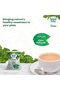 Sugar Free Green Stevia, 100 Pellets - 7