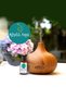 Eucalyptus Oil 20 ml - Pure Essential Essential Oil, Air Refreshing and Moisturizing Massage Oil - 5