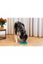 Puppy Food Eating Toy, Square Shape, Silicone, Green, 20X20Cm - 8