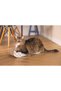 Cat Cardboard Scratching, Beige, 50cm - 2