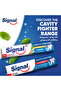 Cavity Fighter Toothpaste 120 ml Fluoride Protection For Strong Teeth & Cavity Prevention - 4