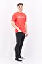 Men Crew Neck Short Sleeves Brand Logo T-shirt, Red - 4