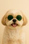 Dog Glasses – Cat Glasses Round Model Pet Accessory