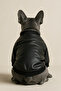 Leather Jacket & Coat for Small and Medium Breed Dogs - 3