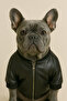 Leather Jacket & Coat for Small and Medium Breed Dogs