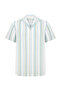 Striped Regular Fit Short Sleeve Shirt - 4