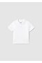 Baby Boy Basic Polo Neck T-Shirt