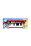 4381 Electronic Organ 24 Keys