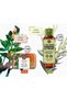 Revitalizing Olive-Citrus and Mango Inspired Shower and Care Set - Shower Gel 100ml + Solid Soap 80 Gr - 3