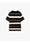Striped Short Sleeve Regular Fit Polo Neck Knitwear T-Shirt - 4