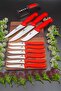 10-Piece Set Kitchen Meat Butcher Skinning Knife, Sürmene Fruit Knife Set, Sharpening Tool - 7