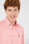 Men's Shirt 1363076