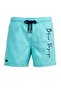 Mint Water Repellent Blue Voyage Embroidered Men's Beach Shorts Swimsuit - 303-Mint