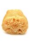 Natural Pumpkin Fiber (For Personal and Dish Cleaning) - 4