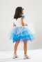 Princess Elsa Anna Sisters and Olaf Birthday Dress & Party Costume with Crown & Scepter & Hair Gift - 4