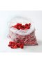 Nylon Bag Half Transparent Sugar Pulses Groceries Bag/refrigerator Bag 1kg 18x25cm - 7