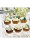 Large Acrylic Risers, Clear Rectangular Showcase Collectibles Display Shelf- 4Set - 7