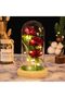 LED Eternal Rose in Glass Dome - Red Artificial Roses Gift Set for Women - 7